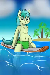 Size: 1300x1920 | Tagged: suggestive, artist:tacomytaco, derpibooru import, sandbar, earth pony, pony, belly button, clothes, crotch bulge, image, looking at you, male, mooseknuckle, png, sitting, smiling, solo, solo male, speedo, spread legs, spreading, surfboard, swimsuit, water, wet