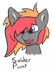 Size: 429x595 | Tagged: safe, artist:solder point, derpibooru import, oc, oc:solder point, unofficial characters only, earth pony, pony, blue eyes, bust, colored, cute, digital art, freckles, gray coat, image, long hair, long mane, male, open mouth, png, signature, smiling, solo, solo male, stallion