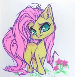 Size: 1440x1488 | Tagged: safe, artist:pixeenmoon, derpibooru import, fluttershy, pony, cute, image, jpeg, shyabetes, solo, wingless