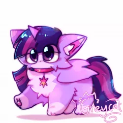 Size: 1080x1080 | Tagged: safe, artist:grey___cat, derpibooru import, twilight sparkle, alicorn, cat, catified, ear fluff, eye clipping through hair, female, folded wings, horn, image, jpeg, raised paw, simple background, species swap, twilight cat, white background, wings