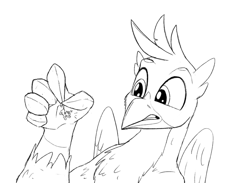 Size: 1800x1434 | Tagged: safe, artist:tsitra360, derpibooru import, gallus, gryphon, angry, black and white, grayscale, image, jpeg, micro, monochrome