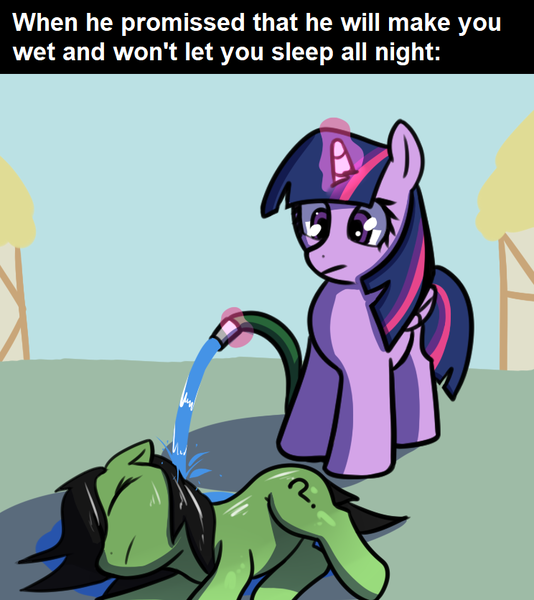 Size: 744x836 | Tagged: suggestive, artist:neuro, derpibooru import, editor:fluttershyisnot adoormat, twilight sparkle, twilight sparkle (alicorn), oc, oc:anonfilly, alicorn, pony, female, filly, garden hose, image, magic, meme, png, telekinesis, water, wet, wet mane