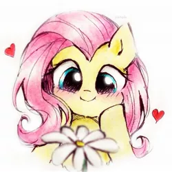 Size: 1939x1939 | Tagged: safe, artist:liaaqila, derpibooru import, fluttershy, pegasus, pony, blushing, c:, cute, female, flower, heart, hooves on cheeks, image, jpeg, mare, shyabetes, signature, simple background, smiling, solo, traditional art, white background
