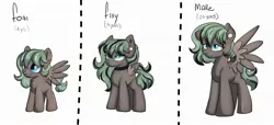 Size: 2048x936 | Tagged: safe, artist:dumbwoofer, derpibooru import, oc, oc:forest air, pegasus, age progression, chart, choker, ear gauge, image, jpeg, mane dye