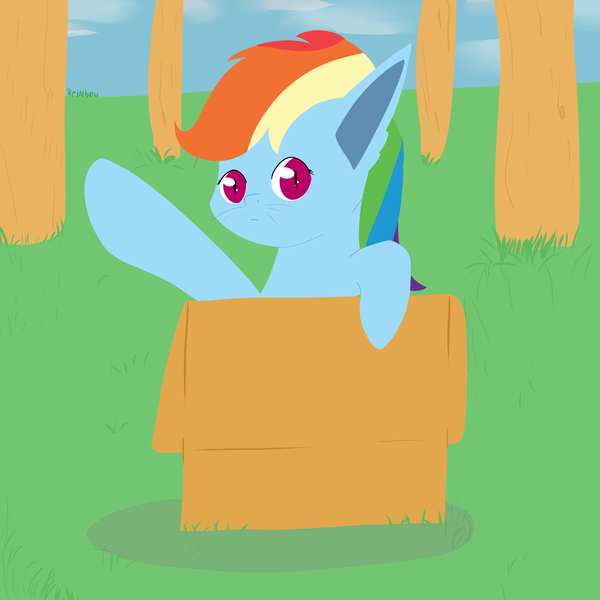 Size: 3000x3000 | Tagged: safe, artist:reinbou, derpibooru import, rainbow dash, cat, pegasus, pony, box, forest, image, jpeg, pony in a box, sky, solo, tree
