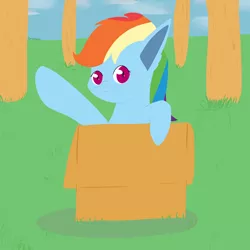 Size: 3000x3000 | Tagged: safe, artist:reinbou, derpibooru import, rainbow dash, cat, pegasus, pony, box, forest, image, jpeg, pony in a box, sky, solo, tree