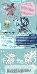 Size: 2000x4000 | Tagged: safe, artist:aquagalaxy, derpibooru import, insect, moth, mothpony, original species, pony, high res, image, png, reference sheet