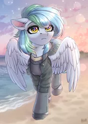 Size: 1750x2465 | Tagged: safe, artist:hakaina, derpibooru import, oc, oc:siriusnavigator, unofficial characters only, pegasus, pony, beach, clothes, commission, image, jacket, ocean, partially open wings, pegasus oc, png, shoes, solo, water, wings, ych result