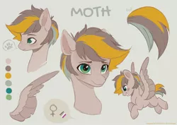 Size: 2000x1412 | Tagged: safe, artist:nettlemoth, derpibooru import, oc, unofficial characters only, pegasus, pony, image, jpeg, reference sheet, solo