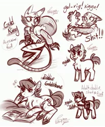 Size: 2893x3503 | Tagged: safe, artist:snowballflo, derpibooru import, oc, unofficial characters only, abyssinian, cat, earth pony, pony, :p, bag, chest fluff, earth pony oc, holding a pony, image, jpeg, signature, sketch, sketch dump, smiling, tongue out, unshorn fetlocks