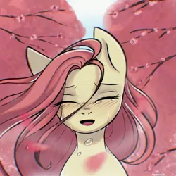 Size: 2048x2048 | Tagged: safe, artist:chickenbrony, derpibooru import, fluttershy, windy whistles, pegasus, pony, cherry blossoms, chromatic aberration, crying, eyes closed, flower, flower blossom, image, jpeg, looking at you, petals, smiling, smiling at you, solo, teardrop