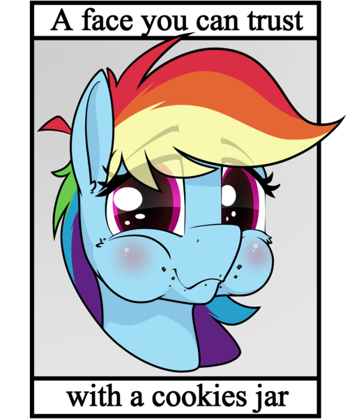 Size: 4134x4908 | Tagged: safe, artist:dacaoo, derpibooru import, rainbow dash, blatant lies, image, png, text, this will end in colic