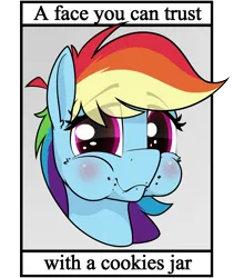 Size: 4134x4908 | Tagged: safe, artist:dacaoo, derpibooru import, rainbow dash, blatant lies, image, png, text, this will end in colic