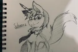 Size: 960x646 | Tagged: artist needed, safe, artist:schwarz, derpibooru import, oc, oc:schwarz, unicorn, clothes, hat, image, jpeg, sketch, traditional art