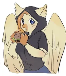 Size: 610x709 | Tagged: artist needed, safe, artist:schwarz, derpibooru import, oc, oc:gill, hippogriff, burger, clothes, food, hamburger, image, jpeg, the daughter of zarz, zarz