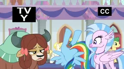 Size: 1250x702 | Tagged: safe, derpibooru import, screencap, end zone, huckleberry, rainbow dash, silverstream, summer breeze, yona, classical hippogriff, earth pony, hippogriff, pegasus, pony, yak, non-compete clause, bow, friendship student, hair bow, image, jewelry, monkey swings, necklace, out of context, png