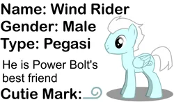 Size: 1761x1038 | Tagged: safe, artist:slickblade, derpibooru import, oc, oc:wind rider, unofficial characters only, pegasus, pony, pony creator, hooves, image, male, pegasus oc, photo, png, simple background, smiling, solo, stallion, standing, text, white background, wings