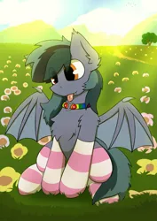 Size: 2893x4092 | Tagged: safe, artist:monycaalot, derpibooru import, oc, oc:scrimmy, bat pony, bat pony oc, bat wings, clothes, collar, fangs, femboy, flower, grass, grass field, heart, heterochromia, image, male, png, socks, spread wings, tongue out, tree, wings