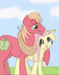 Size: 313x400 | Tagged: safe, artist:miiku-nya, derpibooru import, edit, big macintosh, fluttershy, earth pony, pegasus, pony, cropped, female, fluttermac, hoof on shoulder, image, looking at each other, looking at someone, male, mare, png, shipping, smiling, smiling at each other, stallion, straight, straw in mouth