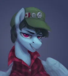 Size: 1800x2000 | Tagged: safe, artist:jewellier, derpibooru import, oc, unofficial characters only, pegasus, pony, canadian flag, cap, clothes, hat, image, looking at you, male, plaid shirt, png, shirt, simple background, solo, stallion