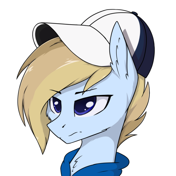 Size: 3000x3000 | Tagged: safe, artist:danger_above, derpibooru import, oc, oc:terncode, pegasus, pony, cap, clothes, hat, image, pegasus oc, png, solo, wings