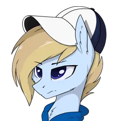 Size: 3000x3000 | Tagged: safe, artist:danger_above, derpibooru import, oc, oc:terncode, pegasus, pony, cap, clothes, hat, image, pegasus oc, png, solo, wings