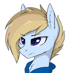 Size: 3000x3000 | Tagged: safe, artist:danger_above, derpibooru import, oc, oc:terncode, unofficial characters only, pegasus, pony, clothes, image, pegasus oc, png, solo, wings