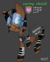 Size: 863x1080 | Tagged: safe, derpibooru import, oc, oc:caring shield, unofficial characters only, earth pony, pony, female, image, jpeg, mare, riot gear