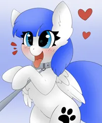 Size: 2489x3000 | Tagged: safe, artist:pegamutt, derpibooru import, oc, oc:snow pup, pegasus, pony, behaving like a dog, blushing, collar, commission, cutie mark, happy, heart, image, leash, open mouth, panting, pet play, png, simple background, tongue out, ych result
