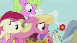 Size: 1920x1080 | Tagged: safe, derpibooru import, screencap, daisy, flower wishes, lily, lily valley, roseluck, earth pony, pony, season 5, slice of life (episode), female, flower, flower trio, image, mare, png