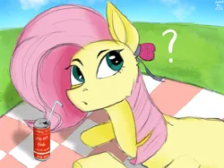 Size: 2160x1620 | Tagged: safe, artist:lumo_xu, derpibooru import, fluttershy, pegasus, pony, drink, image, looking at you, picnic, png, question mark, sky, soda, solo