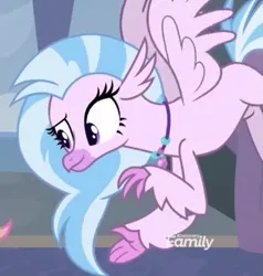 Size: 821x863 | Tagged: safe, derpibooru import, screencap, silverstream, classical hippogriff, hippogriff, school daze, cropped, female, image, jewelry, necklace, png, raised eyebrow, solo