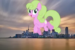 Size: 2048x1367 | Tagged: safe, artist:bluemeganium, artist:jaredking779, derpibooru import, daisy, flower wishes, earth pony, pony, background pony, canada, female, giant pony, giant/macro earth pony, giantess, highrise ponies, image, irl, jpeg, looking at you, macro, mare, mega giant, open mouth, photo, ponies in real life, smiling, solo, toronto