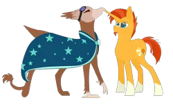 Size: 6784x4104 | Tagged: safe, derpibooru import, sunburst, oc, oc:suban, gryphon, unicorn, accessory swap, cloak, clothes, goggles, griffon oc, image, png, shipping, strutting, sunburst's cloak