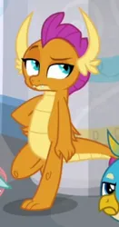 Size: 388x738 | Tagged: safe, derpibooru import, screencap, gallus, ocellus, smolder, changedling, changeling, dragon, gryphon, she's all yak, cropped, hand on hip, image, offscreen character, png, raised eyebrow, smolder is not amused, solo focus, unamused