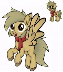 Size: 720x825 | Tagged: safe, derpibooru import, oc, oc:coffee coat, unofficial characters only, pegasus, pony, clothes, image, jpeg, scarf, simple background, solo, white background