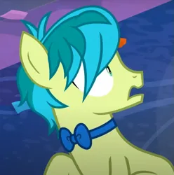 Size: 741x748 | Tagged: safe, derpibooru import, screencap, sandbar, earth pony, pony, she's all yak, bowtie, cropped, image, male, png, reaction image, solo