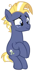 Size: 1181x2320 | Tagged: safe, artist:kyoshithebrony, derpibooru import, star tracker, earth pony, pony, cute, happy, image, male, png, simple background, sitting, smiling, solo, stallion, trackerbetes, transparent background, vector