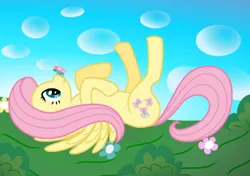 Size: 342x241 | Tagged: safe, artist:mfg637, derpibooru import, fluttershy, butterfly, insect, pony, .svg available, butterfly on nose, derpibooru exclusive, female, image, insect on nose, lying down, mare, picture for breezies, png, solo, vector