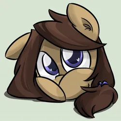 Size: 1673x1673 | Tagged: safe, artist:melodenesa, derpibooru import, oc, oc:melodenesa, unofficial characters only, pony, cute, female, image, jpeg, one ear down, shy, simple background, solo
