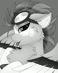 Size: 3277x4096 | Tagged: safe, artist:chromatic-sheen, derpibooru import, oc, oc:fast fire, unofficial characters only, pegasus, pony, cheek fluff, chest fluff, female, goggles, goggles on head, image, jpeg, looking at you, mare, monochrome, pegasus oc, solo, spread wings, tongue out, wings