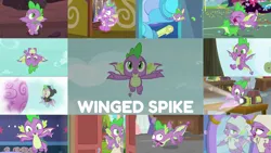 Size: 1974x1111 | Tagged: safe, derpibooru import, edit, edited screencap, editor:quoterific, screencap, gummy, spike, a matter of principals, a trivial pursuit, best gift ever, father knows beast, marks for effort, molt down, school raze, sparkle's seven, sweet and smoky, the big mac question, the ending of the end, the point of no return, yakity-sax, image, png