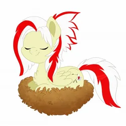 Size: 2048x2048 | Tagged: safe, artist:karzii, derpibooru import, oc, oc:redsun, unofficial characters only, pegasus, pony, eyes closed, female, folded wings, image, jpeg, mare, nest, sitting, smiling, solo, wings