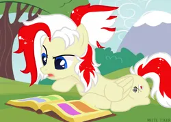 Size: 2048x1468 | Tagged: safe, artist:vizirka, derpibooru import, oc, oc:redsun, unofficial characters only, pegasus, pony, background, blue eyes, book, female, folded wings, image, mare, mountain, open book, png, reading, sitting, solo, tree, wings