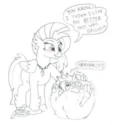 Size: 1157x1280 | Tagged: safe, artist:icaron, derpibooru import, gallus, silverstream, gryphon, hippogriff, ball, blushing, dialogue, female, image, implied transformation, jewelry, jpeg, male, monochrome, morph ball, necklace, paw pads, rubbing, tape