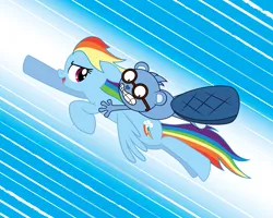 Size: 10000x8000 | Tagged: safe, artist:lunahazacookie, derpibooru import, rainbow dash, beaver, pegasus, pony, abstract background, duo, female, flying, glasses, image, mare, png, riding, scared