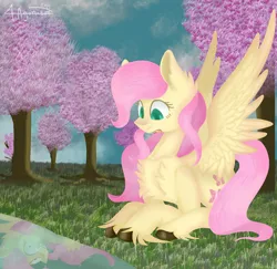 Size: 2016x1960 | Tagged: safe, artist:4agonism, derpibooru import, fluttershy, bat pony, bat ponified, cherry blossoms, cherry tree, evil grin, flower, flower blossom, flutterbat, grin, image, png, race swap, reflection, smiling, spread wings, surprised, tree, unshorn fetlocks, wings