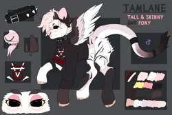 Size: 4500x3000 | Tagged: safe, artist:etoz, derpibooru import, oc, oc:tamlane, unofficial characters only, original species, pegasus, pony, clothed sex, clothes, collar, eyebrows, fangs, forked tongue, horns, image, long tail, long tongue, male, pegasus oc, piercing, png, reference sheet, sex, skinny, stallion, tail, tall, text, tongue out, wings