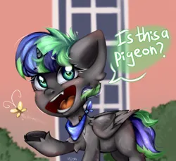 Size: 2150x1980 | Tagged: safe, artist:pozya1007, derpibooru import, oc, pegasus, pony, commission, image, is this a pigeon, meme, my little pony, png, solo, your character here
