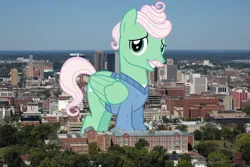 Size: 1024x682 | Tagged: safe, artist:cheezedoodle96, artist:jaredking779, derpibooru import, edit, gentle breeze, pegasus, pony, alabama, birmingham, facial hair, folded wings, giant pegasus, giant pony, highrise ponies, image, irl, jpeg, looking at you, macro, male, mega giant, moustache, photo, ponies in real life, smiling, solo, stallion, wings